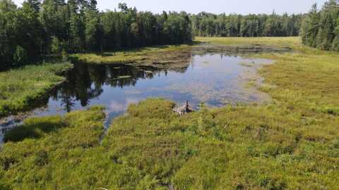 0 Moose River Rd, Port Leyden, NY 13433