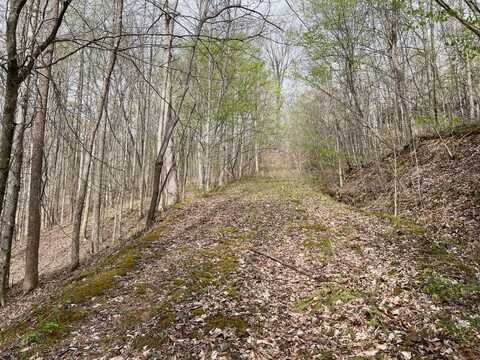 0 O'Brion Rd., Duck, WV 25063