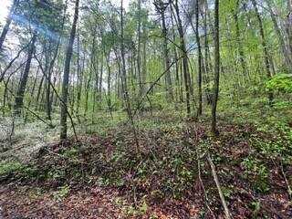 Lot 112 Bear Den Trl, Grandview, TN 37337