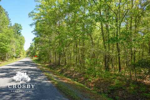 0 Dopson Road, Islandton, SC 29929