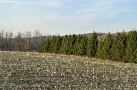 Lot 4 Mud Run Rd, Addison, NY 14801