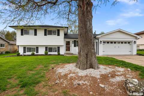220 E LAKEWOOD Street, Morton, IL 61550