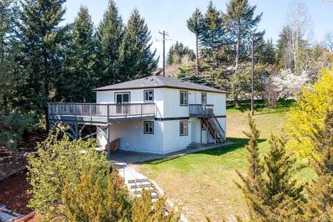 815 SW State St, Pullman, WA 99163