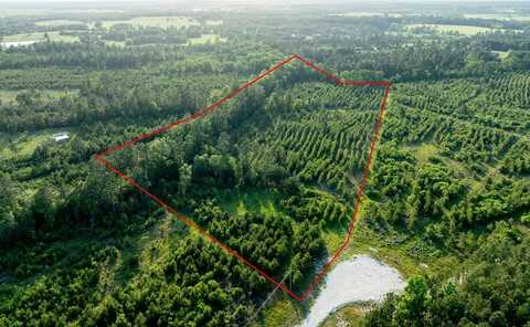 Tr 171 Calhoun Ct, Lovelady, TX 75851