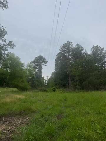 0 FM 2501, Apple Springs, TX 75965