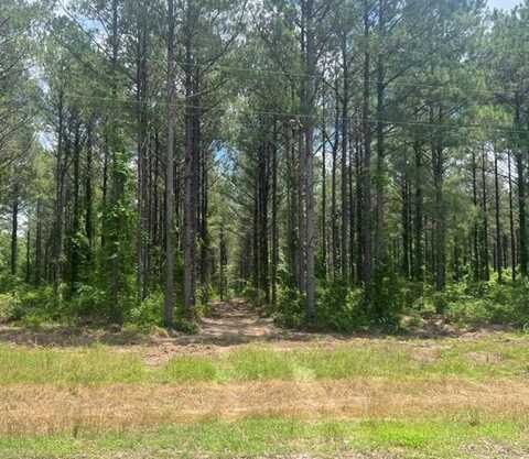 0 County Road 2270, Troy, AL 36079