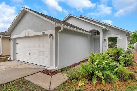 2907 MINGO DRIVE, LAND O LAKES, FL 34639