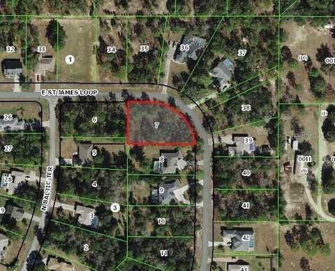 1820 E SAINT JAMES LOOP, INVERNESS, FL 34453