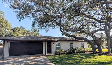 2904 W MARLIN AVENUE, TAMPA, FL 33611