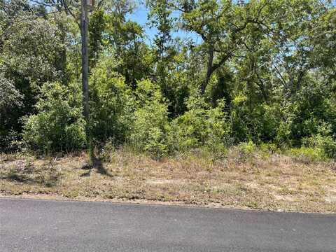 5437 W CINNAMON RIDGE DRIVE, LECANTO, FL 34461
