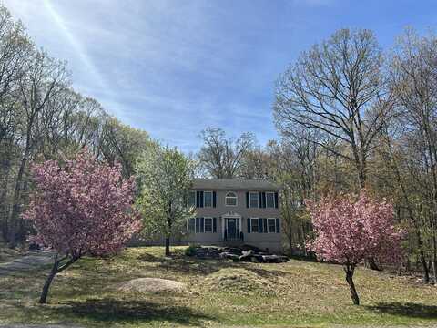 131 Wildwood Lane, Canadensis, PA 18325