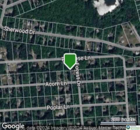 Chestnut Lane, Kunkletown, PA 18058