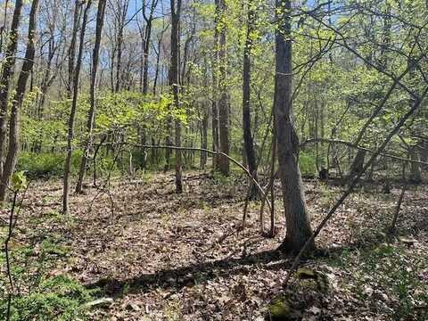 Lot 23 Hemlock Road, Kunkletown, PA 18058