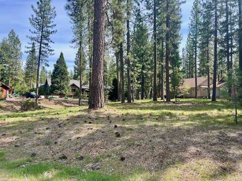 325 Eureka Springs Drive, Blairsden, CA 96103