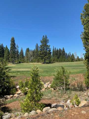 65 Vista Drive, Lake Almanor, CA 96137