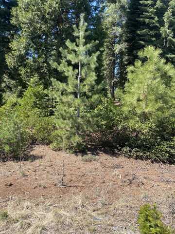 36 Winterwood Drive, Lake Almanor, CA 96137
