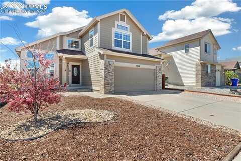 7330 Straggler Circle, Colorado Springs, CO 80922