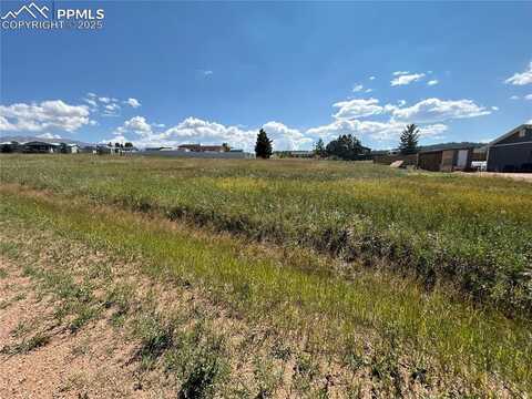 Tbd Golden Grain Lane, Divide, CO 80814