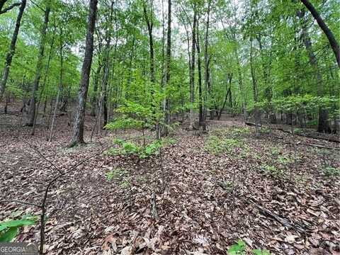 387 Windflower Drive, Big Canoe, GA 30143