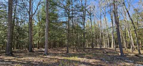 Lot 85 Perry Pond Road, Narrowsburg, NY, NY 12764