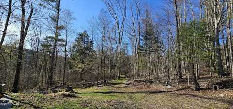 7297 State Route 97, Narrowsburg, NY, NY 12764
