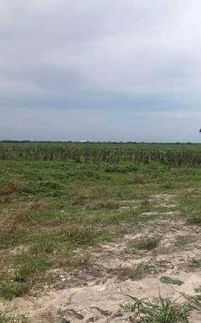 CR 1441, SINTON, TX 78387