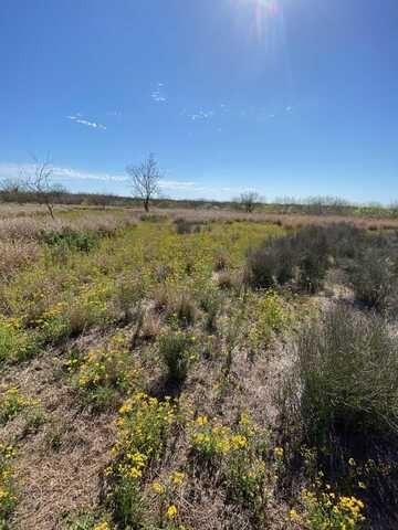 Cameron Ln/Old Fowlerton Rd, Fowlerton, TX 78021