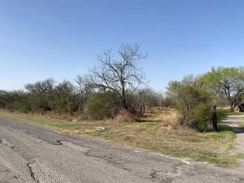 8736 CR 618, SKIDMORE, TX 78389