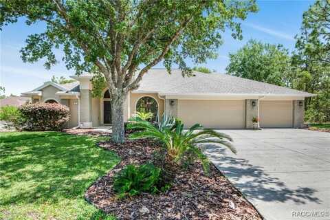 3 Milbark Court S, Homosassa, FL 34446