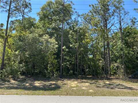 9784 N Country Club Way, Citrus Springs, FL 34434
