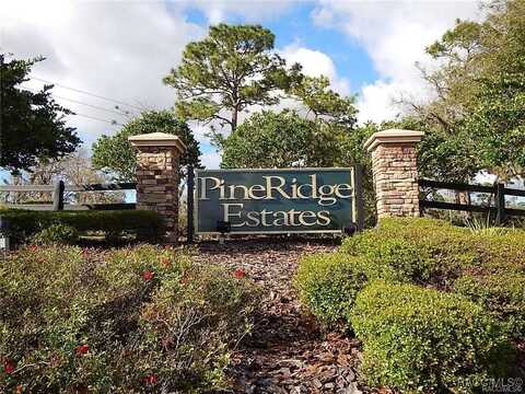 5476 N Nakoma Drive, Beverly Hills, FL 34465