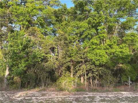 231 N Kensington Avenue, Lecanto, FL 34461