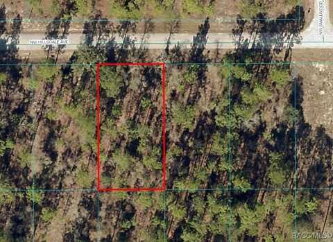Tbd NW Hillsdale Avenue, Dunnellon, FL 34431