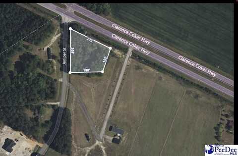 TBD Clarence Coker HWY, Turbeville, SC 29162