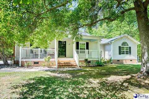 6109 Stagecoach Road, Effingham, SC 29541