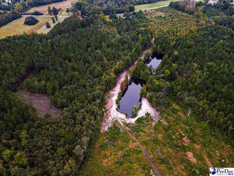 4088 Cherry Johnson Road, Effingham, SC 29541