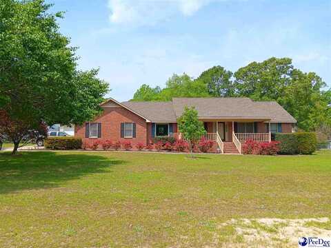 2260 Pine Acres Rd, Hartsville, SC 29550