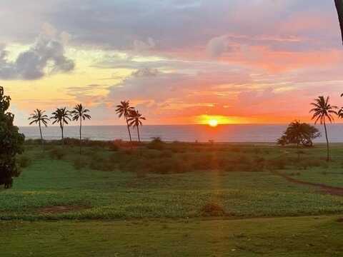 KEPUHI Pl, Maunaloa, HI 96770