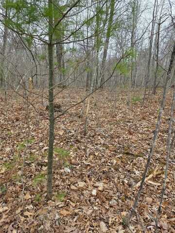 Lot 8 Lukes Lane, Danbury, WI 54830