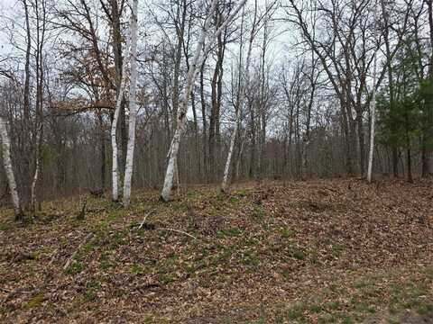 Lot 9 Lukes Lane, Danbury, WI 54830