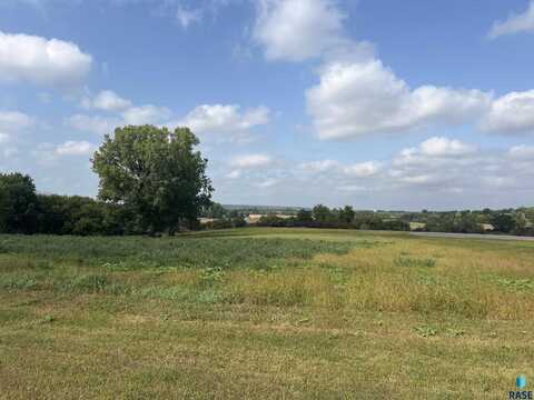 1453 WILD ROSE Trl, Luverne, MN 56156