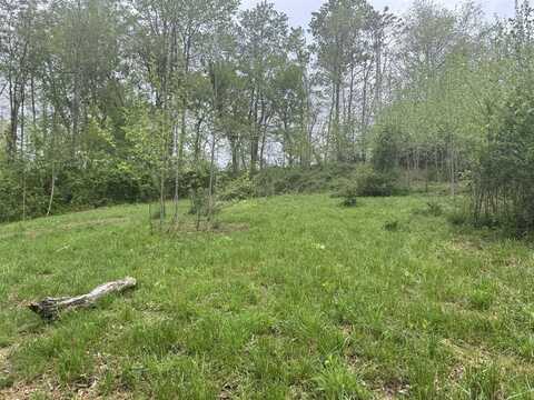 65 Lex Carter Circle, Scottsville, KY 42164