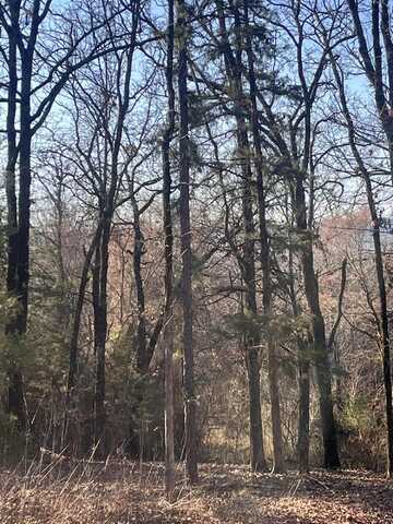 Crow Mountain Drive, Atkins, AR 72823