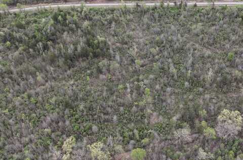 11.32 Acre County Road 2228 (A), Hartman, AR 72840