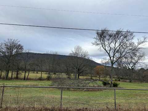 3 Bethel Road, Dardanelle, AR 72834