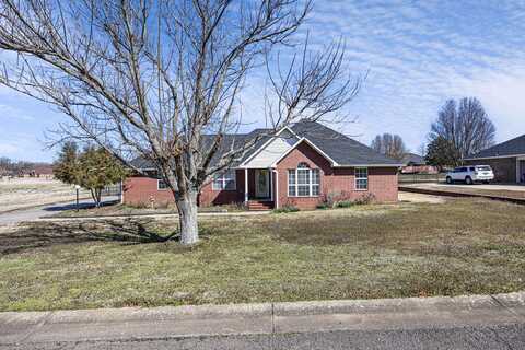 10060 Susan Street, Danville, AR 72833