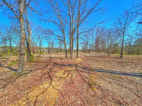 320 Hunters Road, Center Ridge, AR 72027