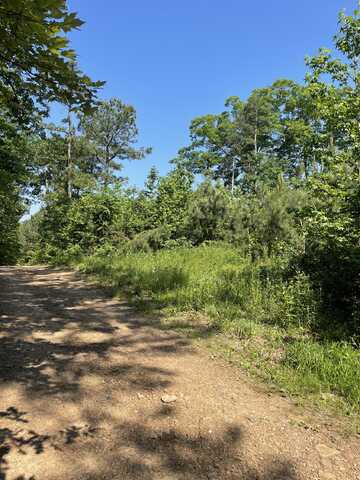 163 Private Road 4485, Clarksville, AR 72830