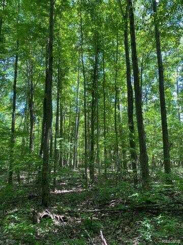 V/L UNDERWOOD Road, Caro, MI 48723