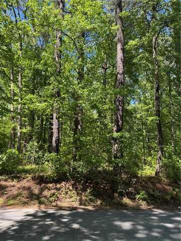 Lot 80 Pughsville Road, Suffolk, VA 23435